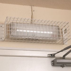 Light Guards