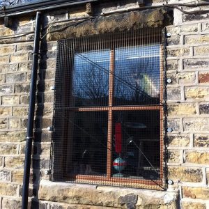 Window Guards