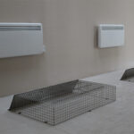 Chester Zoo Heaters & Guards