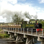 Replica Train Panels for Vale of Rheidol