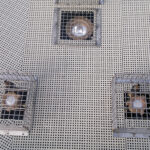 Stainless Steel Protection Cages